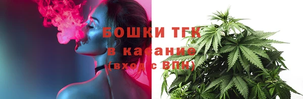 дживик Абаза